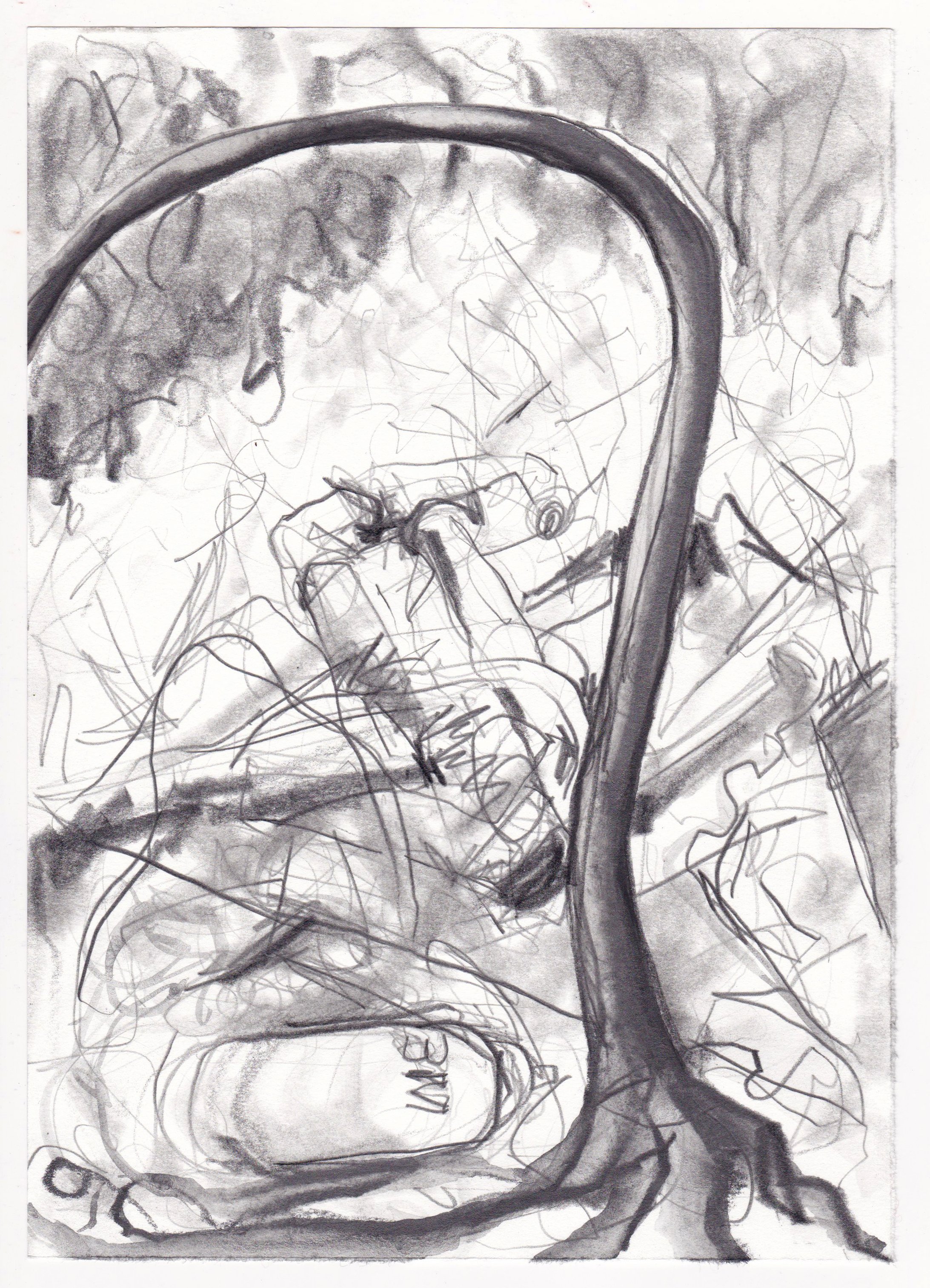 Tree with Rubble