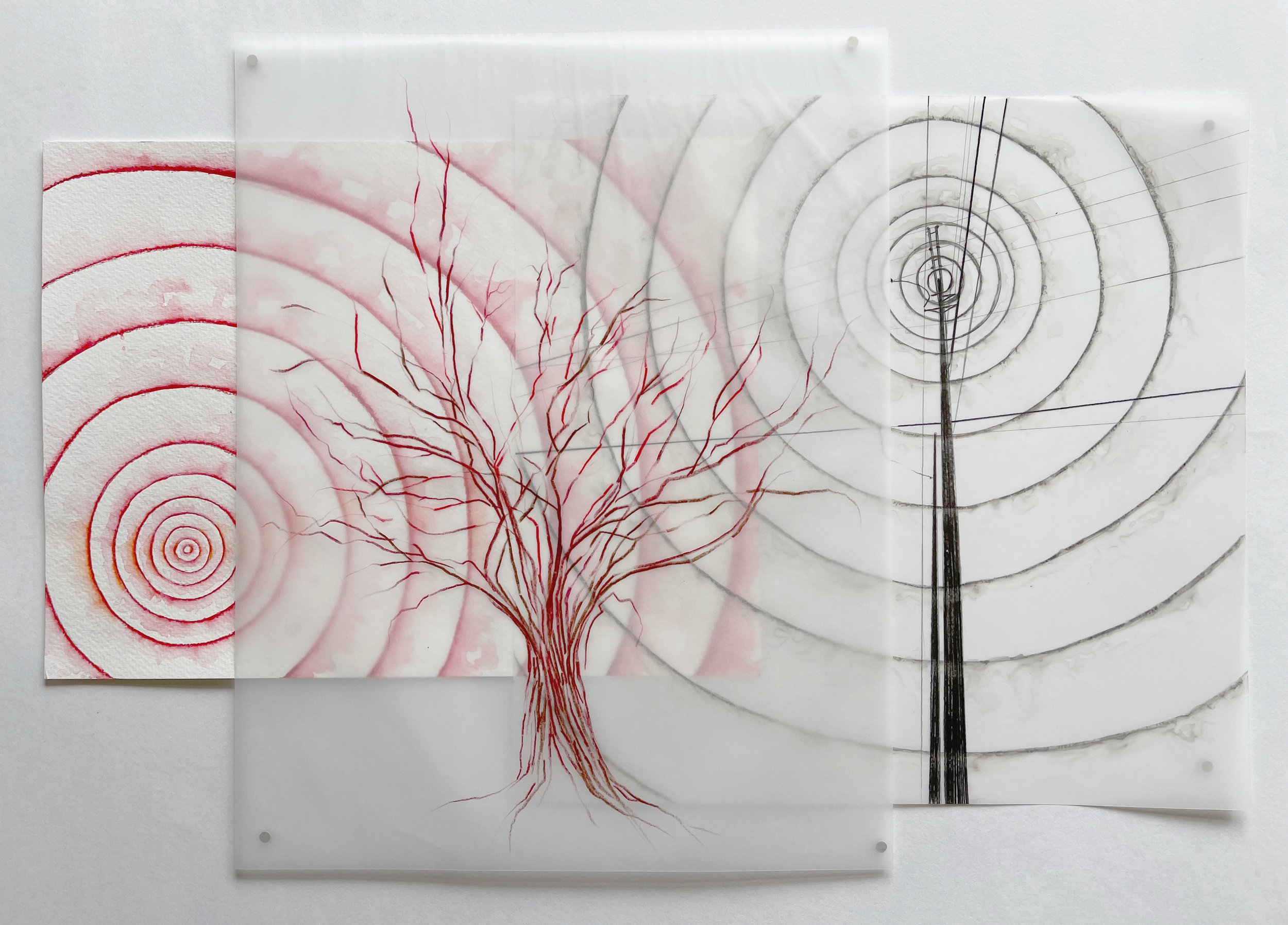 TRANSMISSIONS - a single-day exhibition hosted by Ecoartspace celebrating the 2024 total eclipse