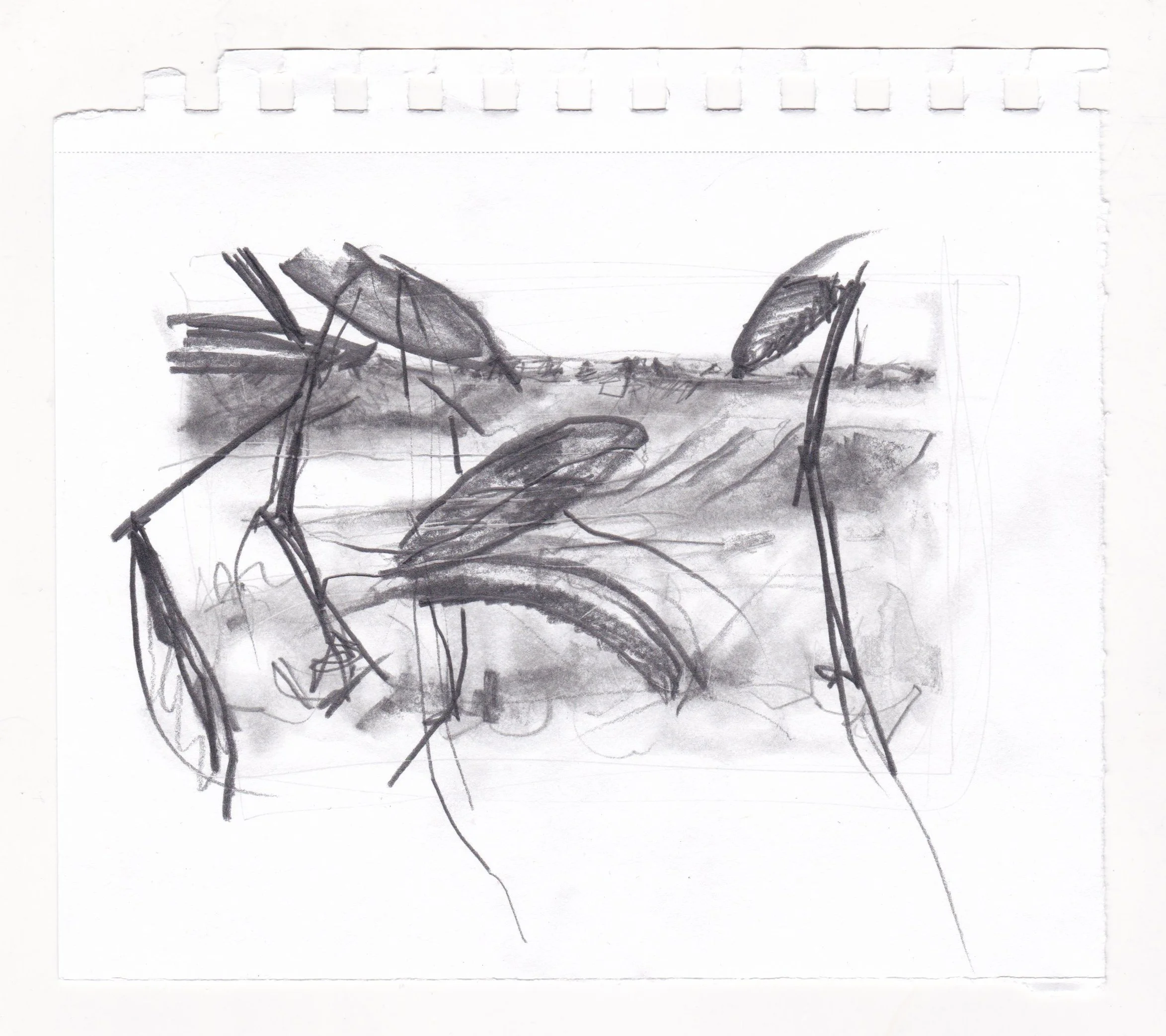 Fauna with Retention Pond