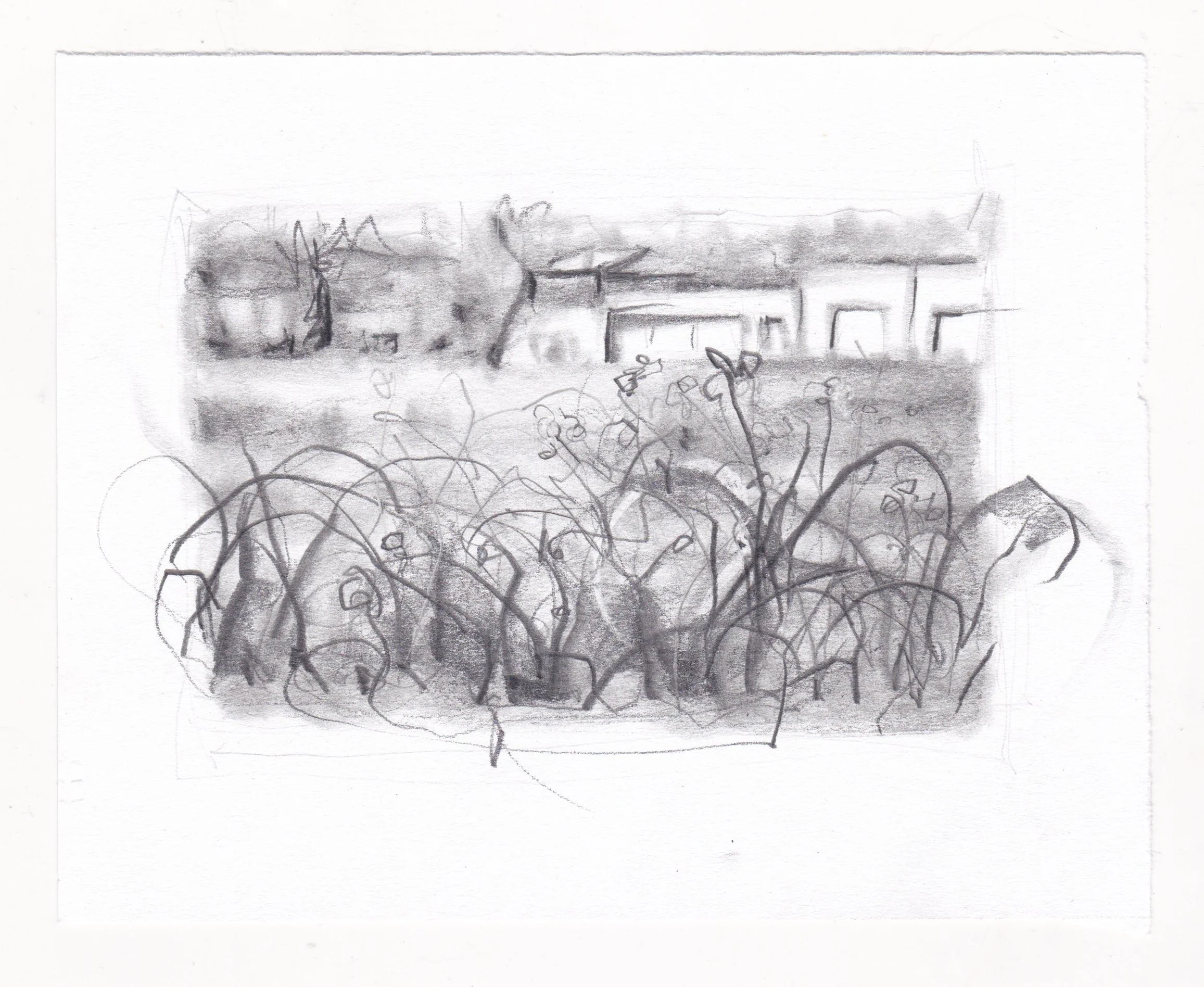 Retention Pond with Brio Site Task Force structures