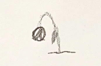 10_dying-flower-drawing.jpg