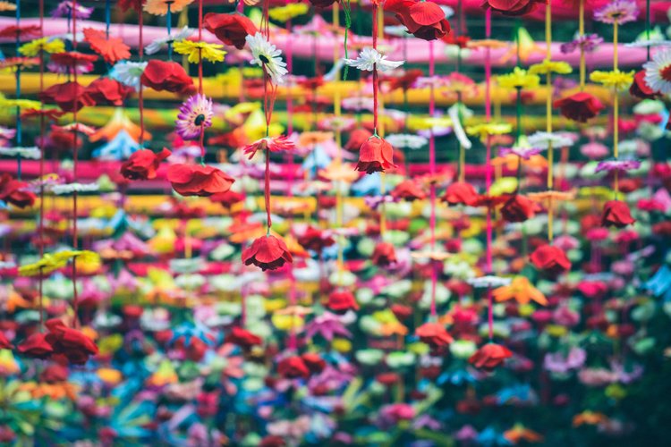 nikunj-gupta-224168-unsplash.jpg
