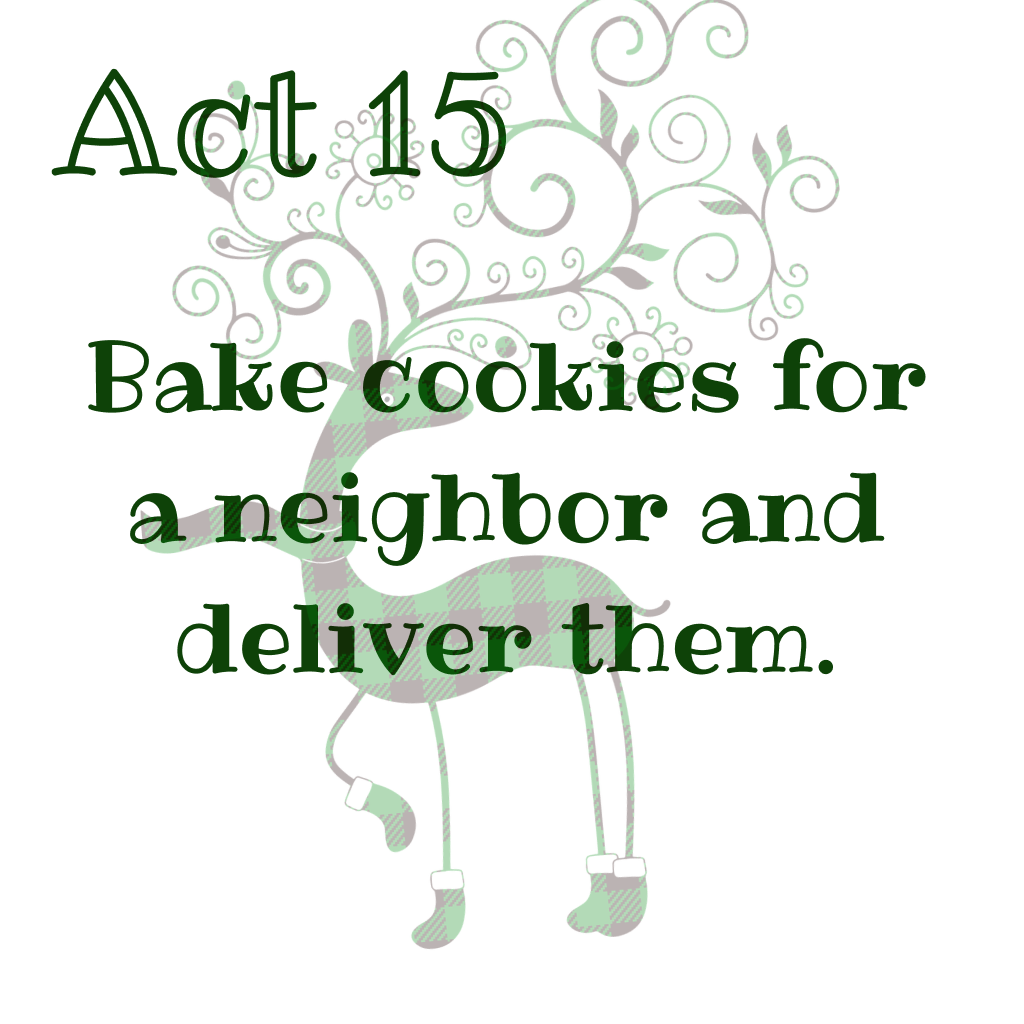 Acts of Kindness - Christmas15.png