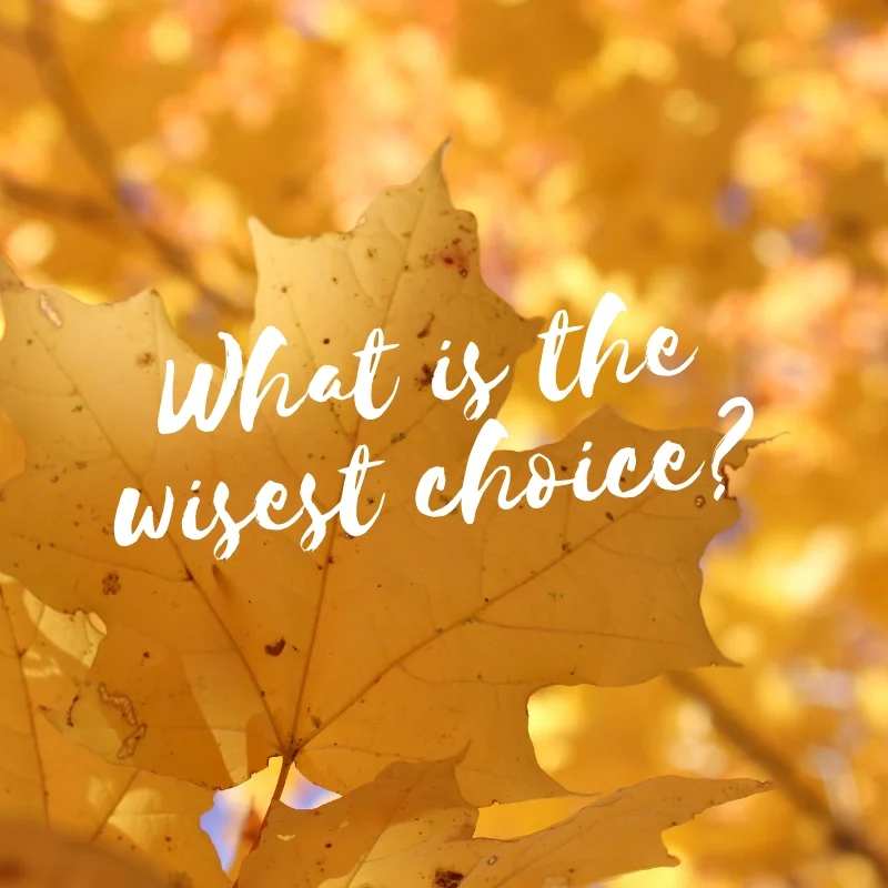 What is the "Wisest" Choice?