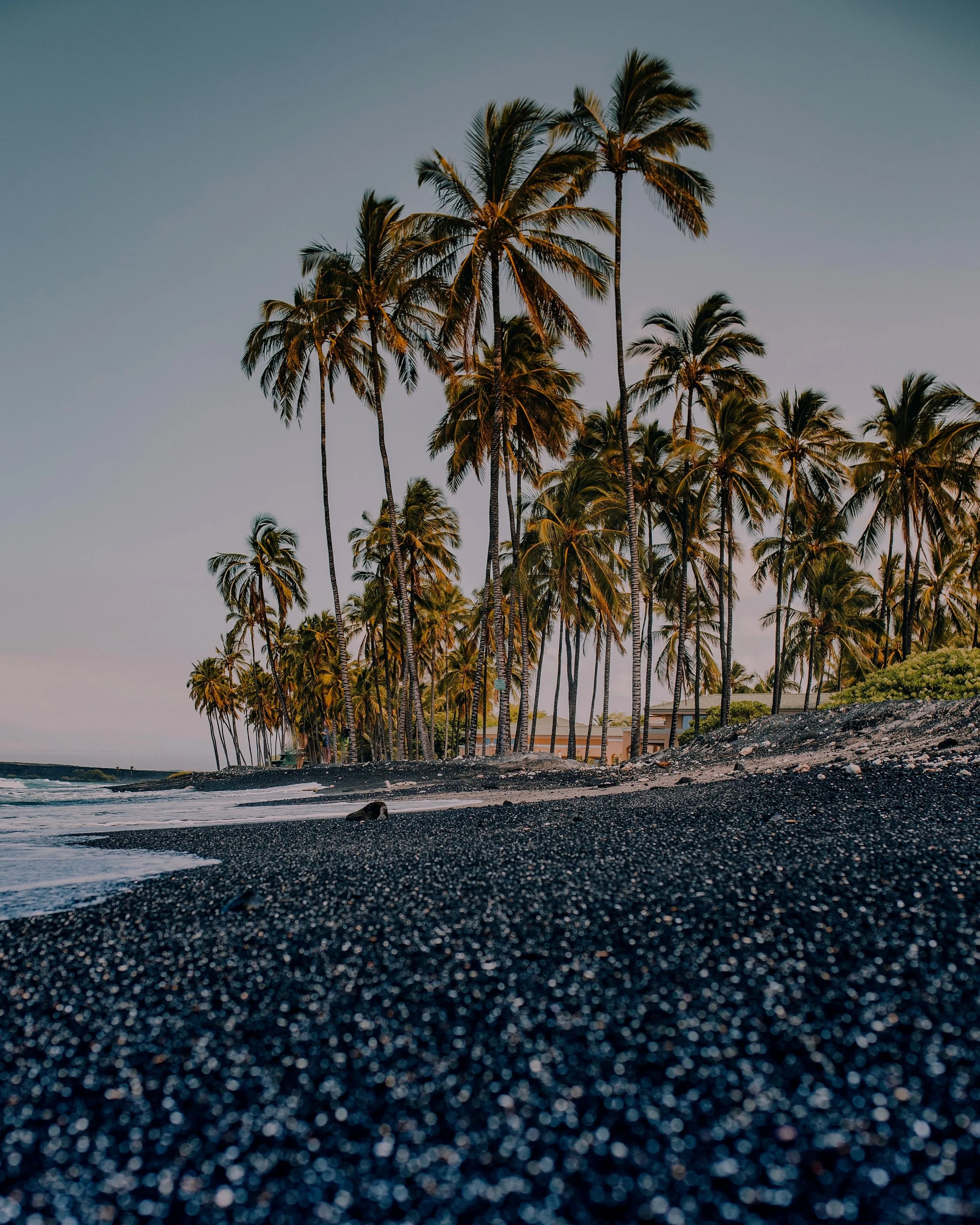  “I believe strongly that Mindy has a gift for healing and teaching and can not recommend her highly enough to anyone who is on a journey of self-discovery.&nbsp; Her generous spirit, calm energy, and expertise make her the ideal guide for others and