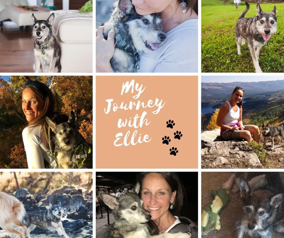 My Journey With Ellie