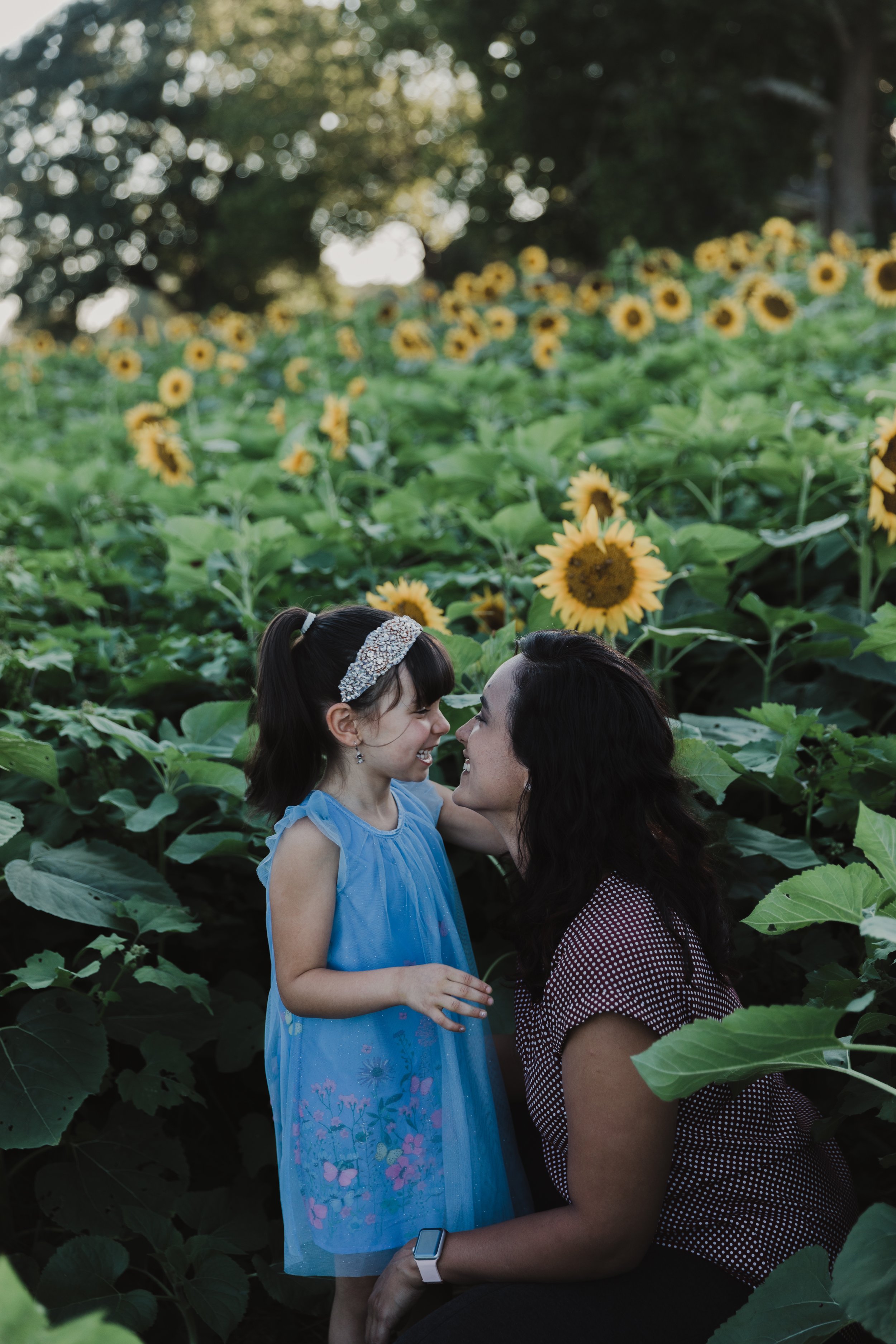 De La Cruz Sunflower Mini Session-6.jpg