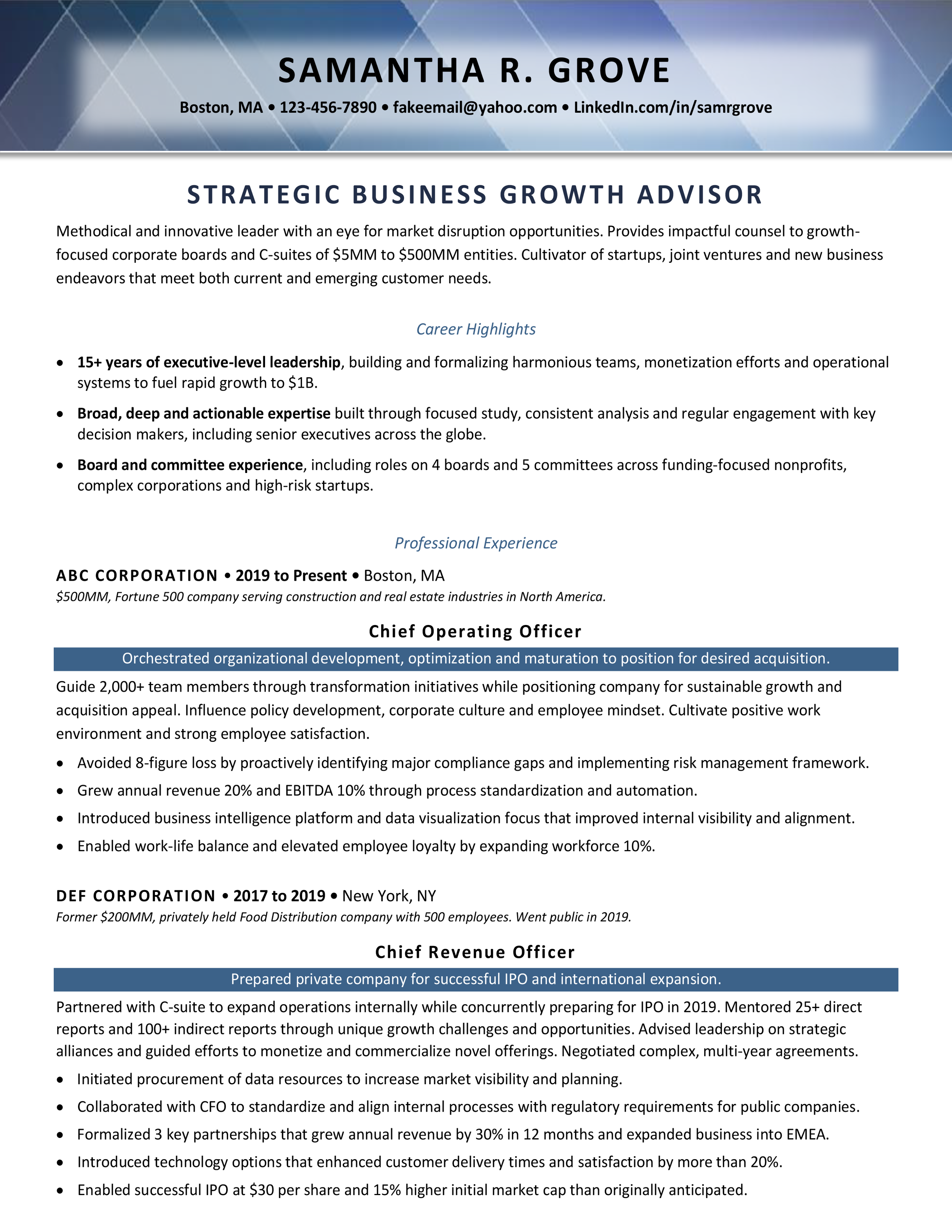 Executive Resume Template - Light - Sample-1.png