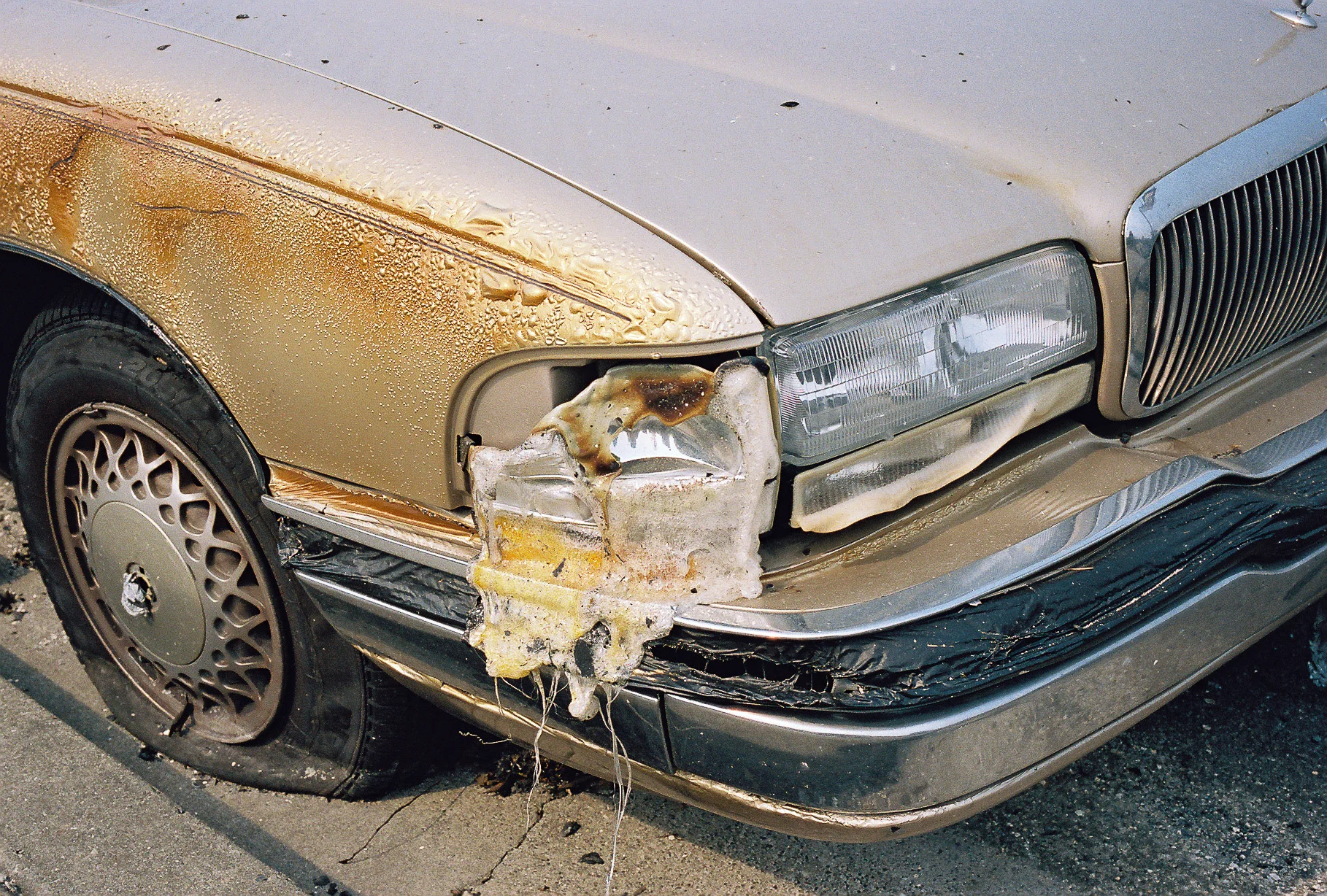 California Wildfire #1