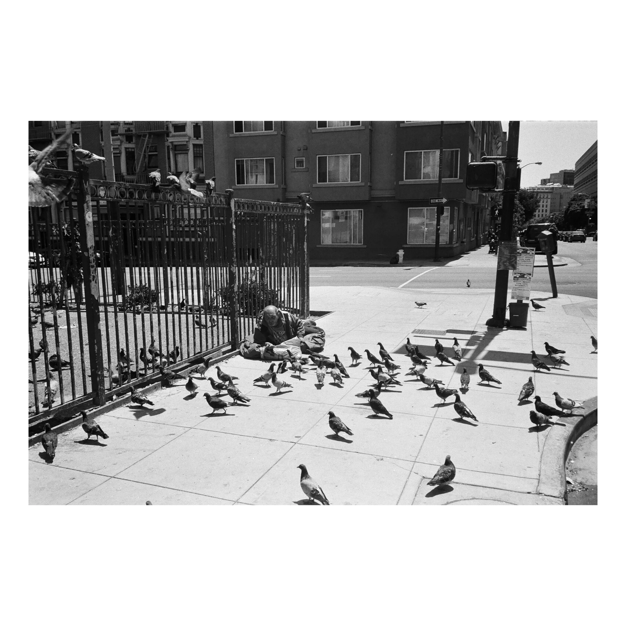 San Francisco #4 - Birdman