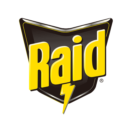 raid copy.png
