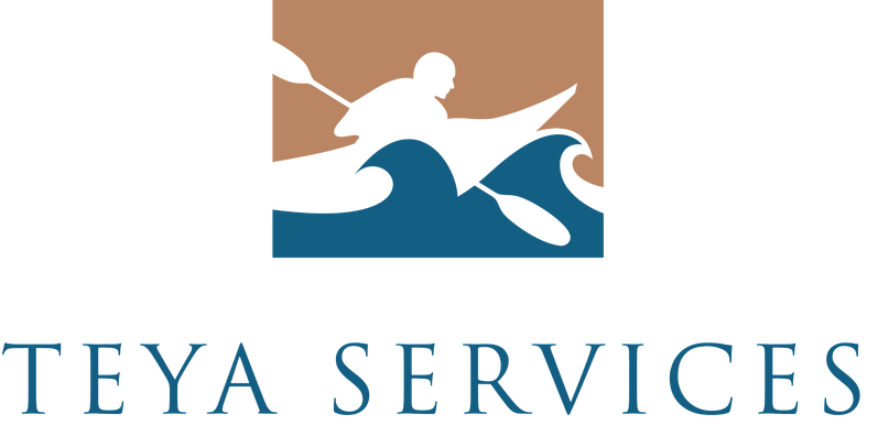 Teya Services