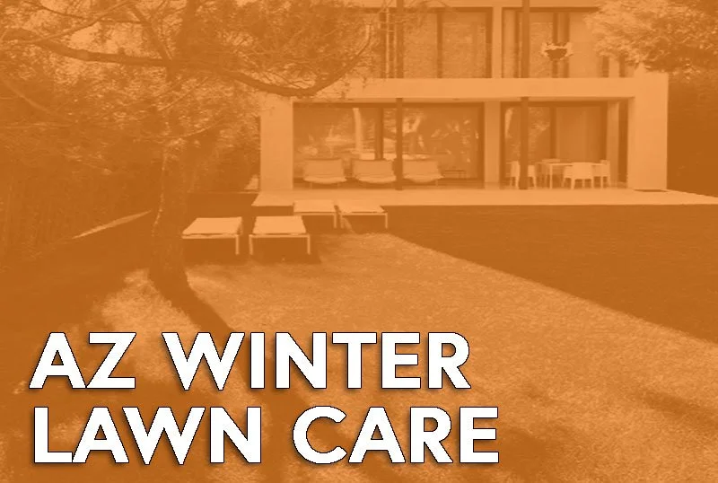 Getting Nerdy About Houses - Arizona Winter Lawn Care