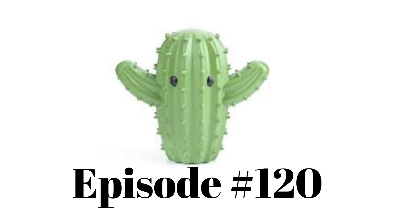 #121 Do you love it or do you Cactus!