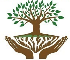 TreeHands.png