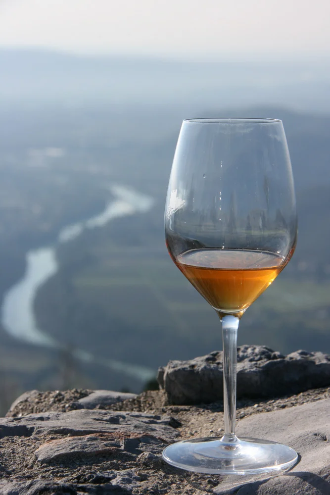 Radikon's long-macerated, orange Ribolla Gialla