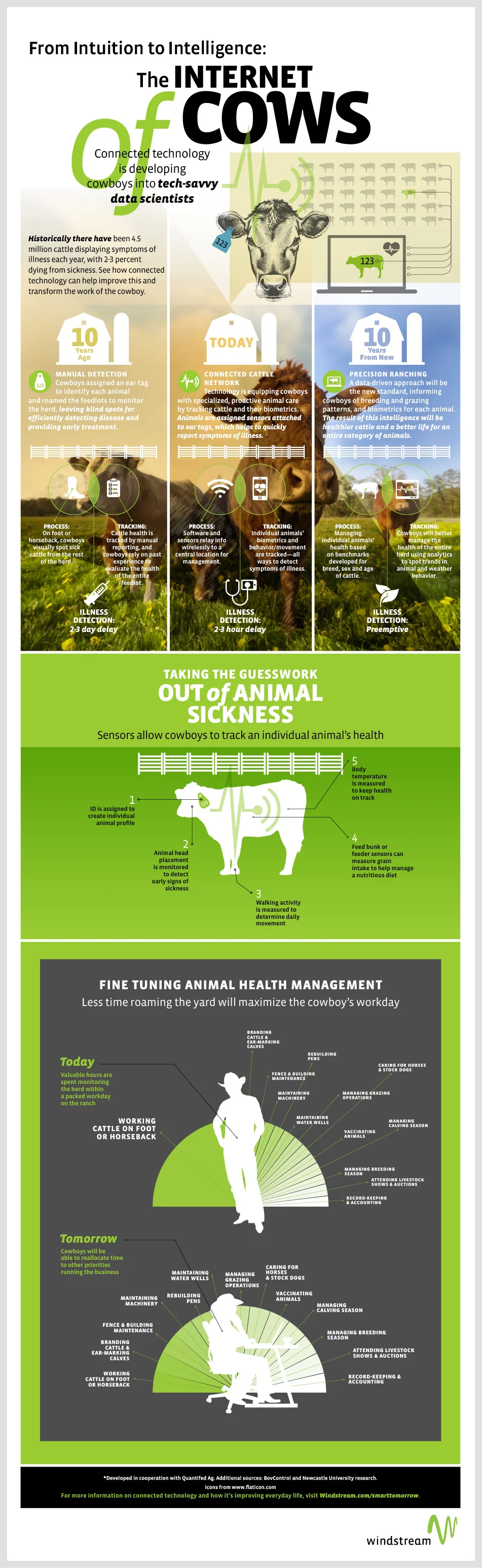The Internet of Cows