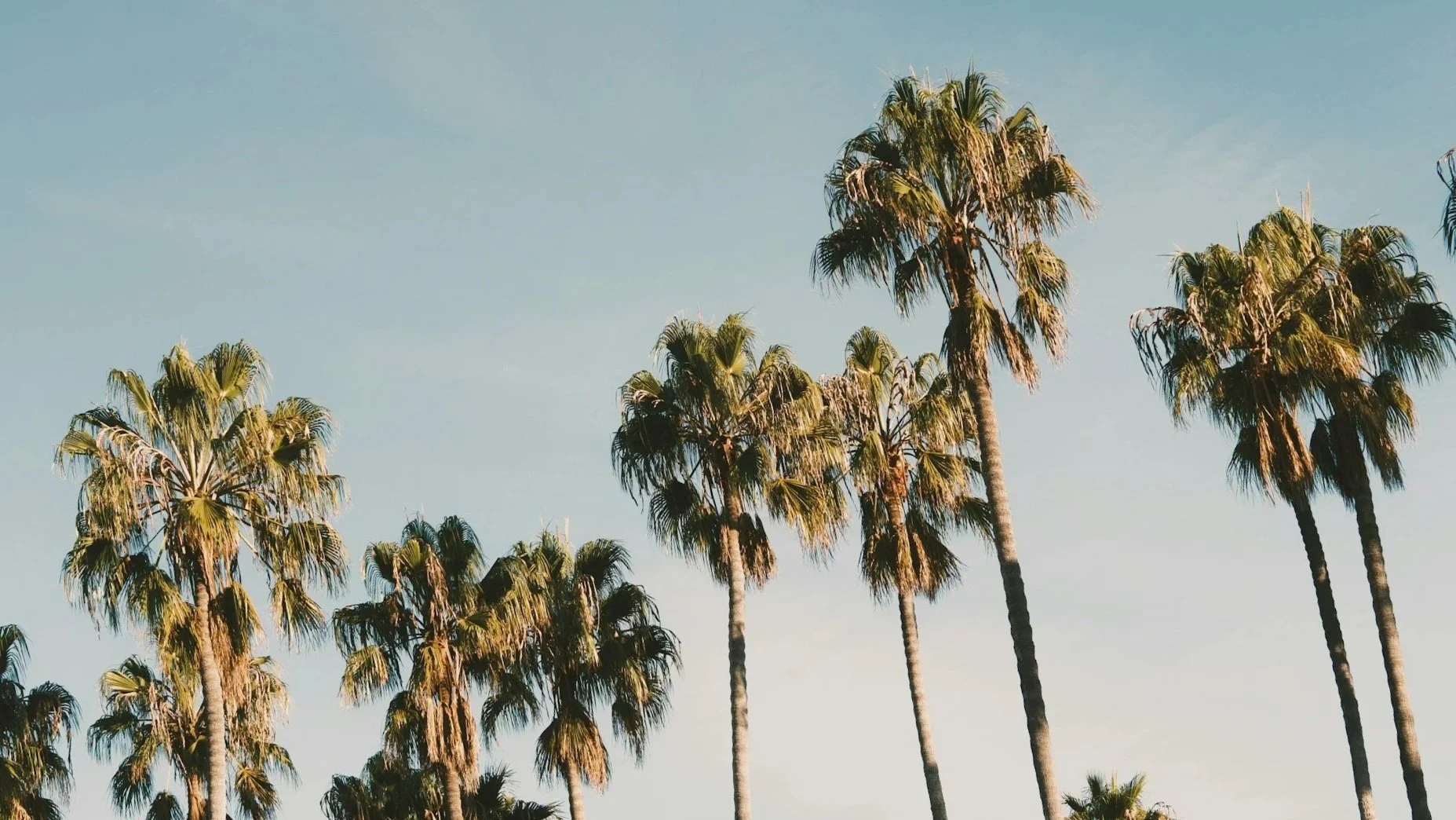 unsplash-image-CV441gphxQI.jpg