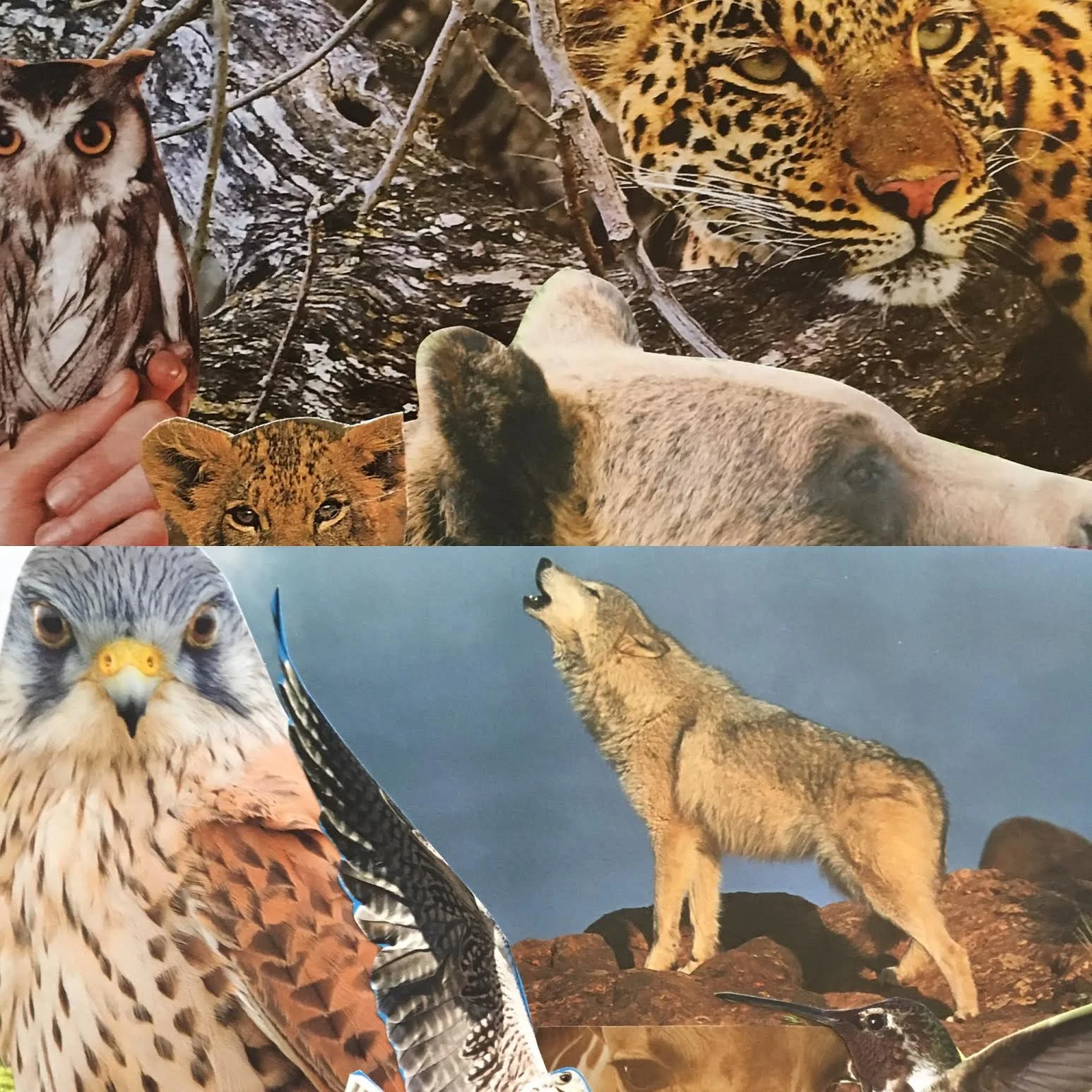 Shamanism and Power Animals 