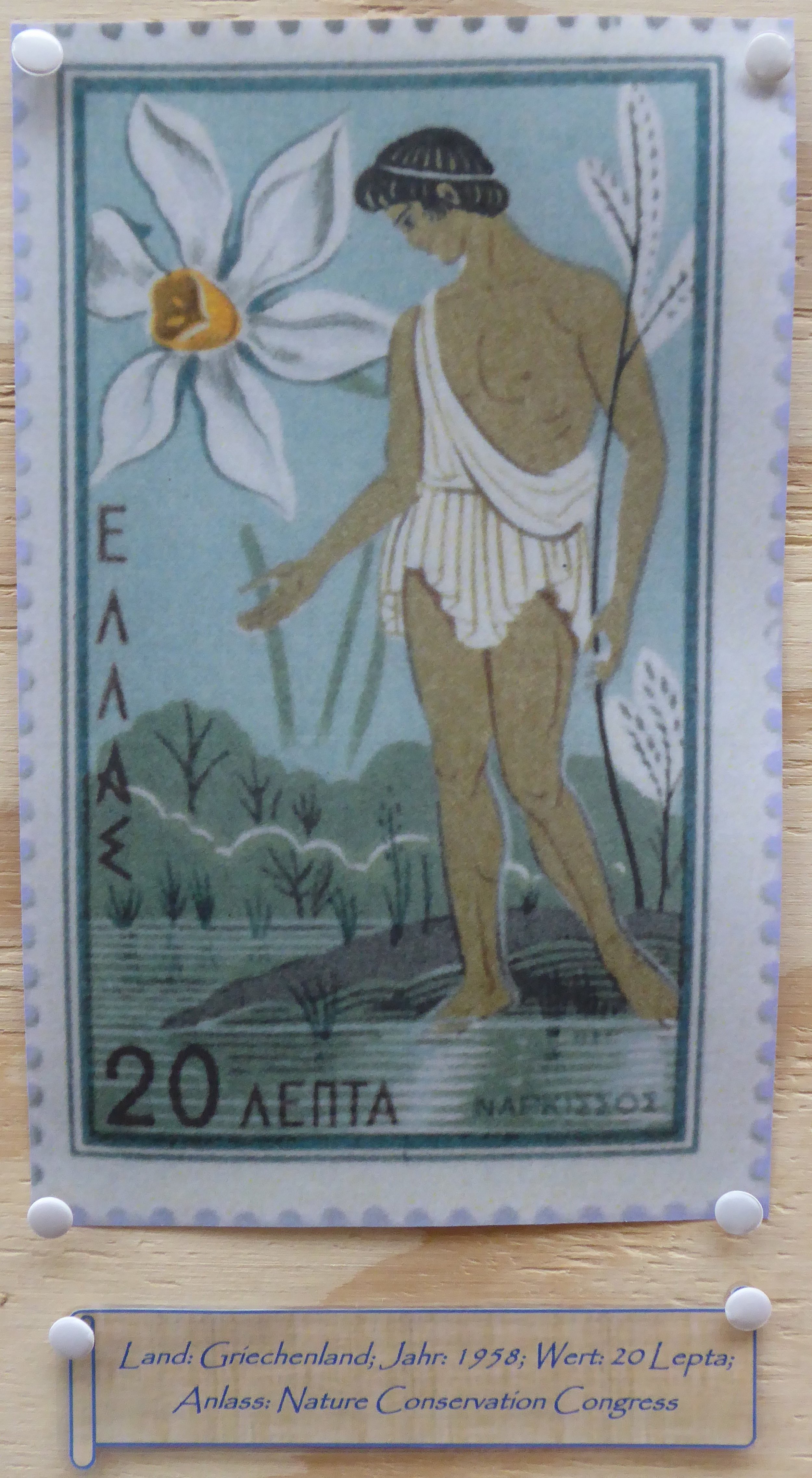 Narcissus - Briefmarke 1.JPG