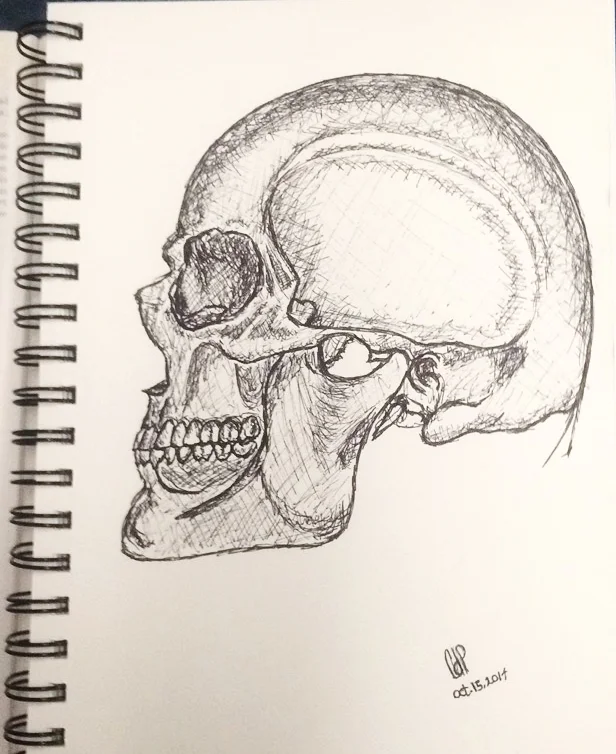 Skull