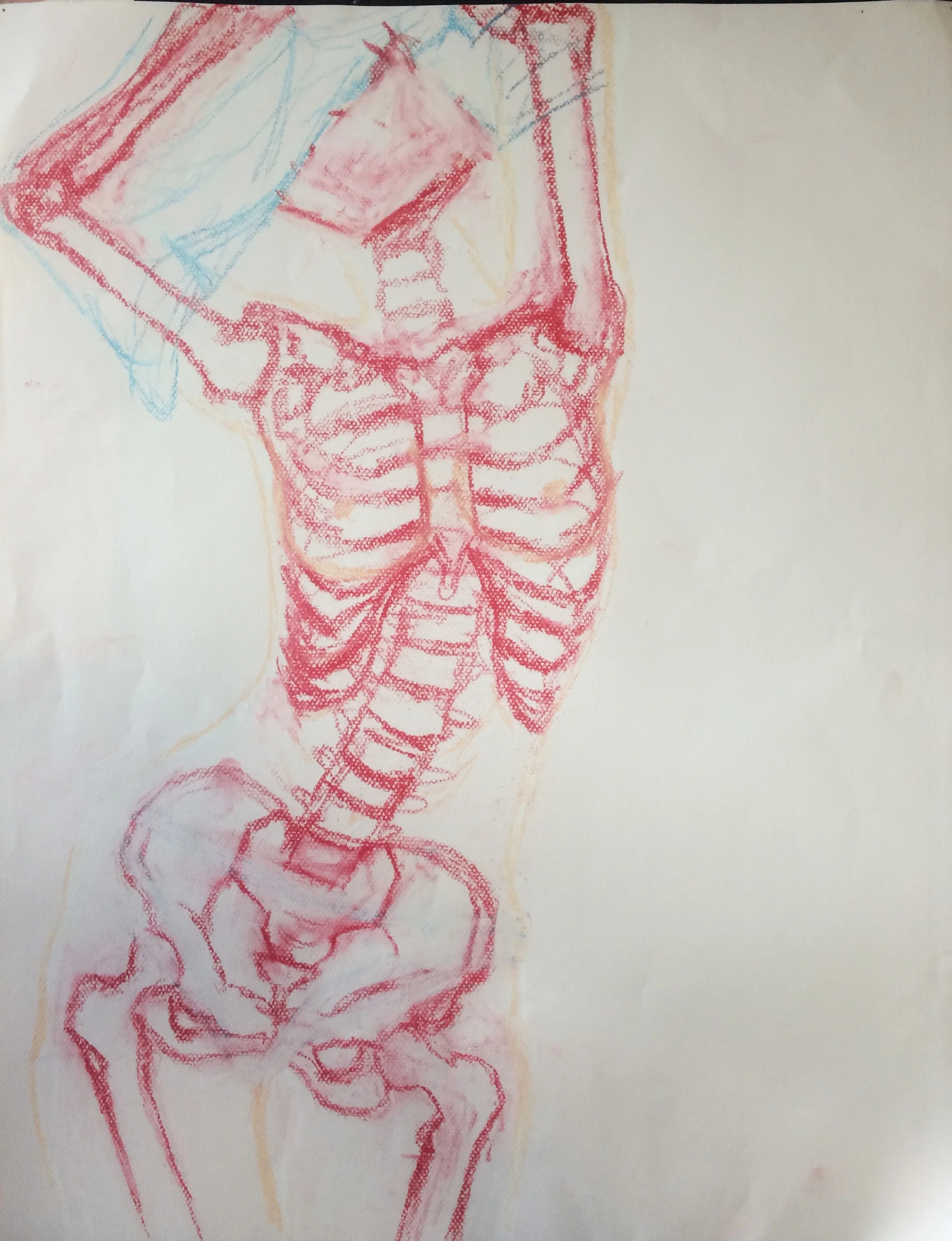 Body Image (Series)