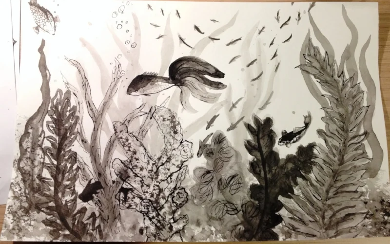Fish