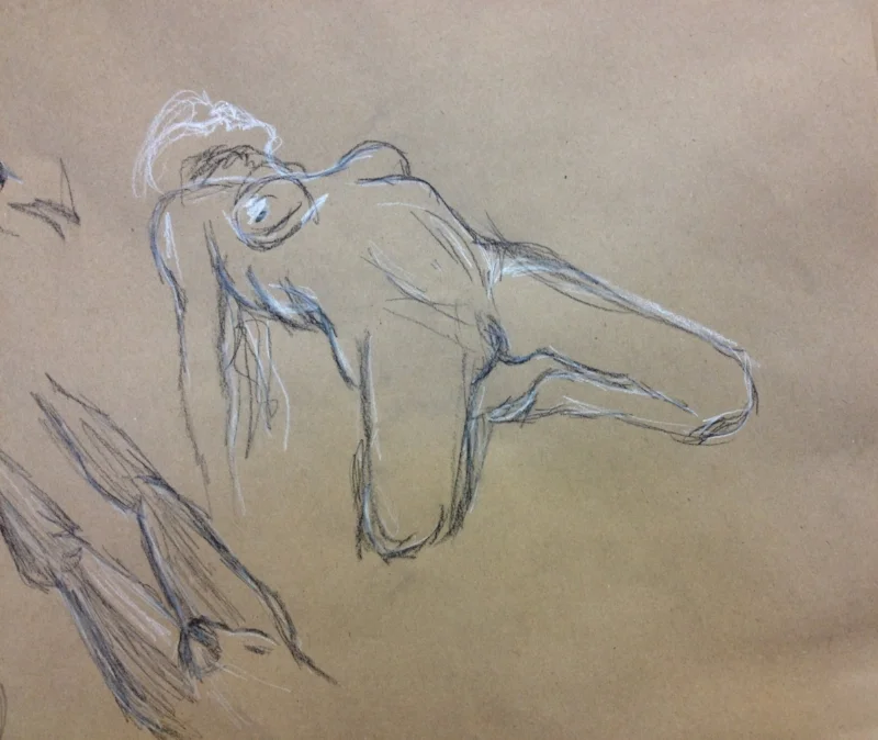  Nude model sketches in white and black charcoal&nbsp; 