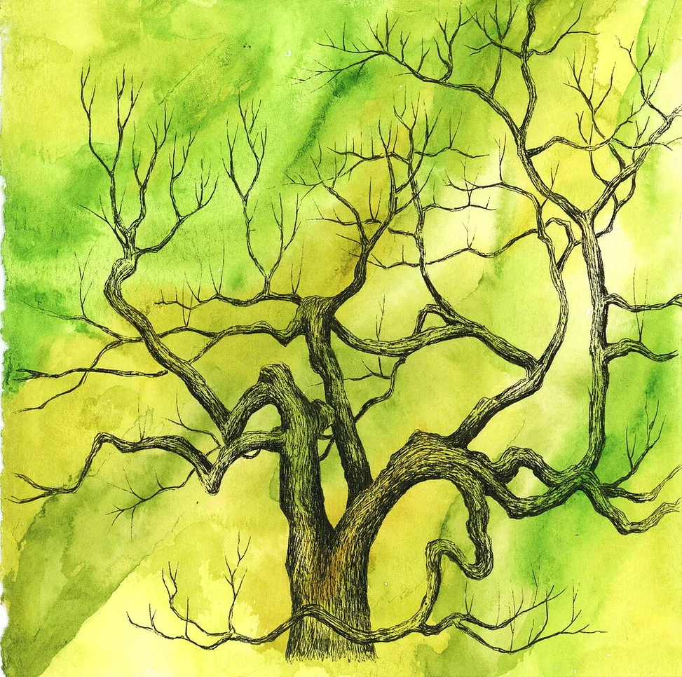 tree 30 , 7”x7”, watercolor and ink on paper
