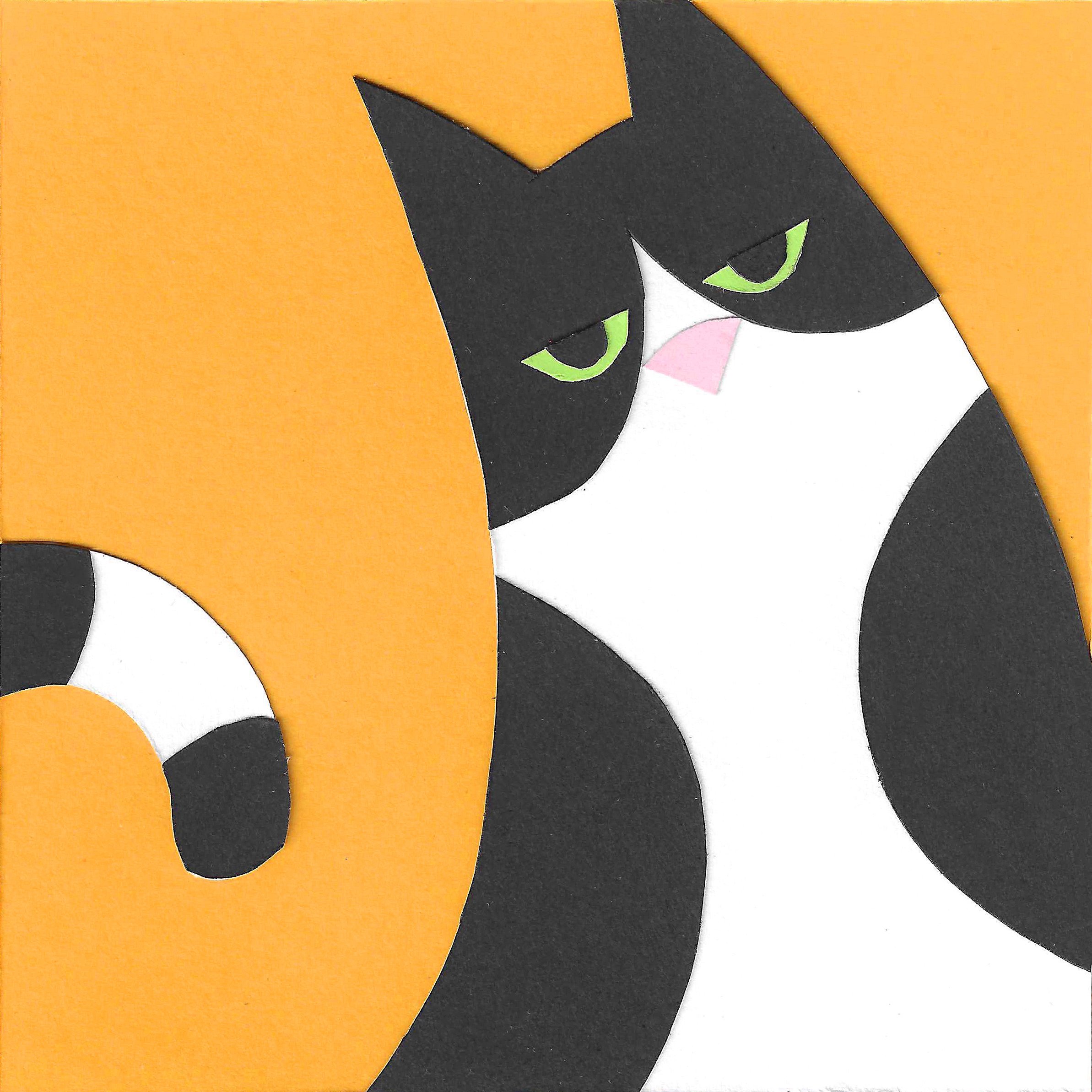 Small Cat 7.jpg
