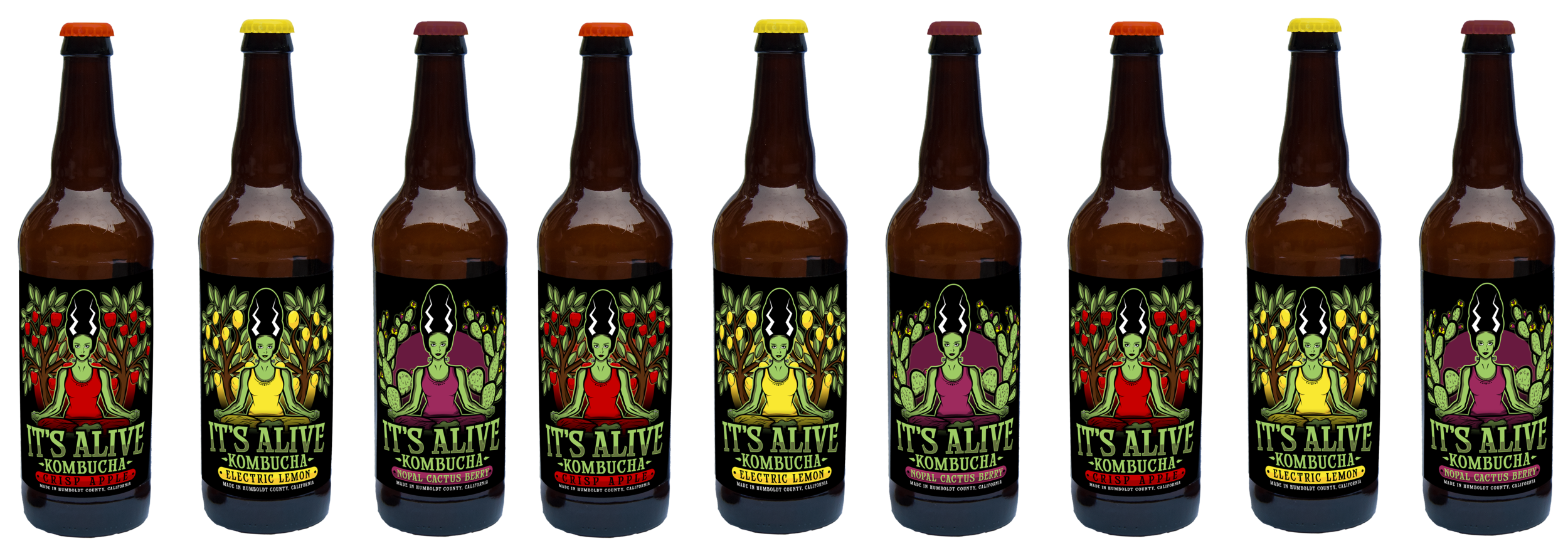 BOTTLES no pumpkin 9ct small size.png