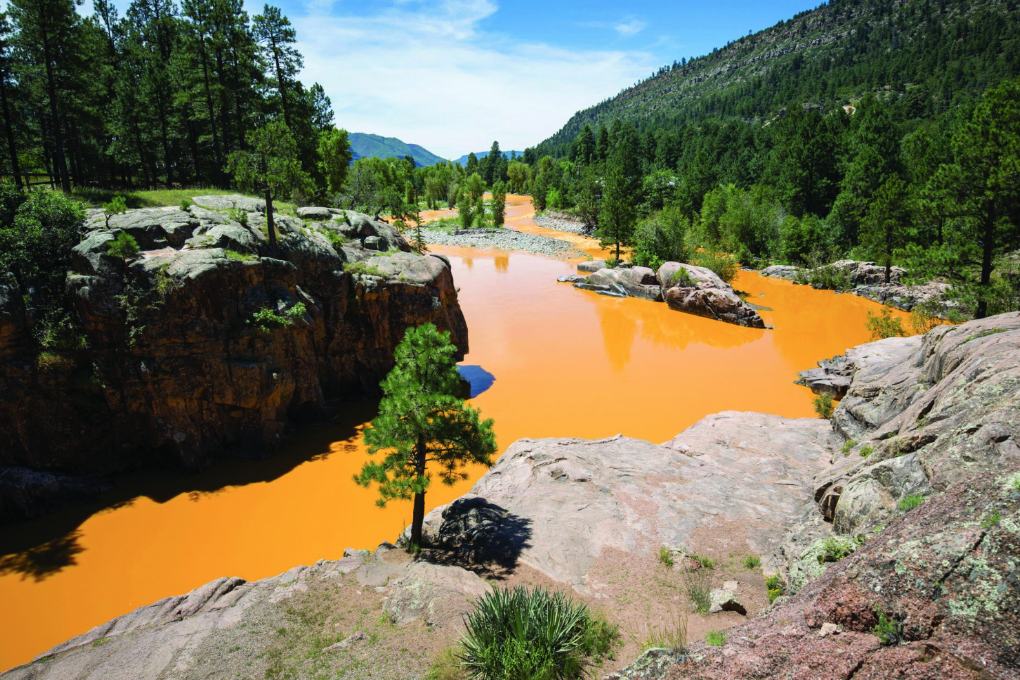 gold king_public domain.png