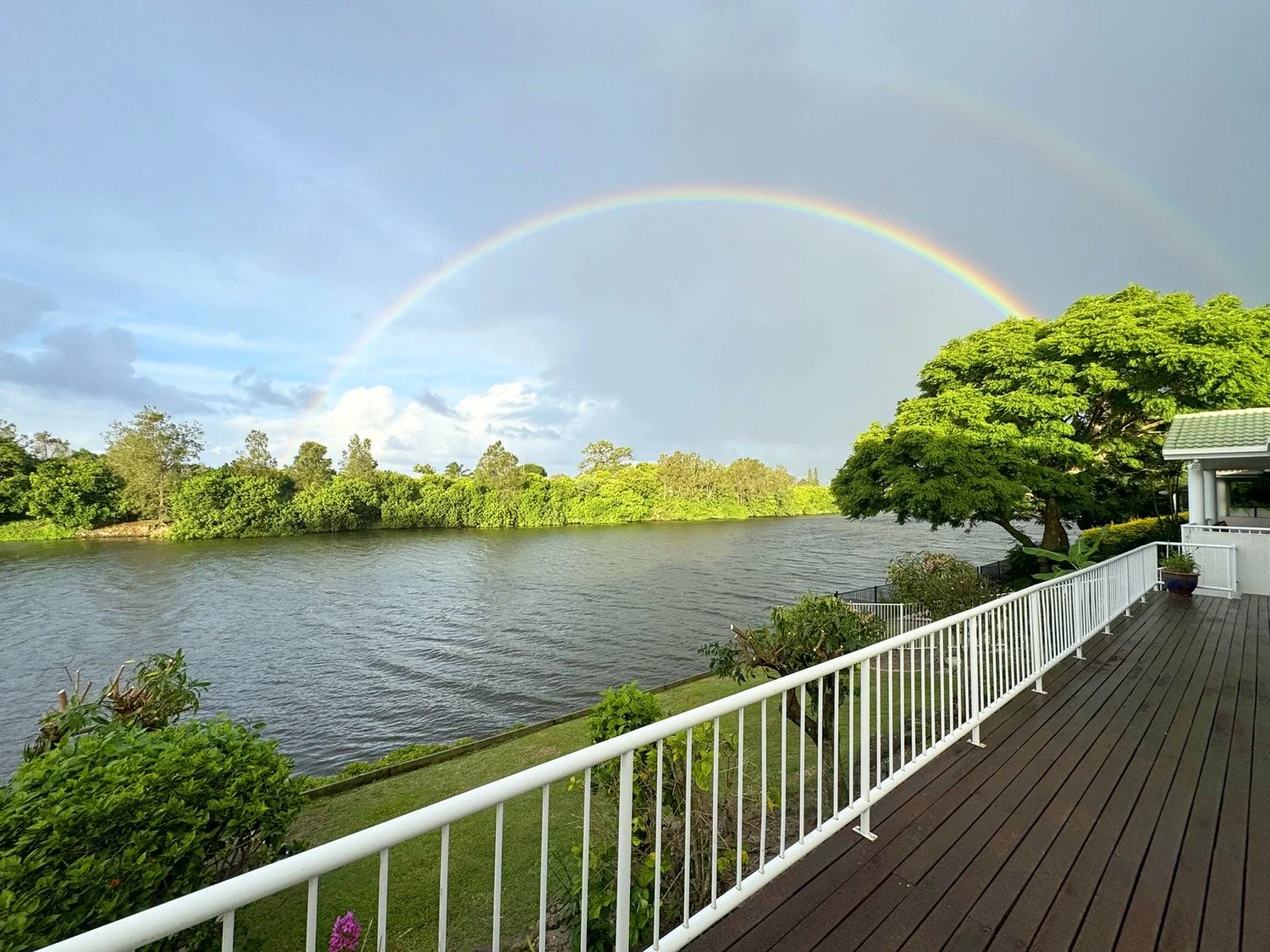 38_emerton_crescent_robina-gold-coast-qld-IMG_5669.JPG