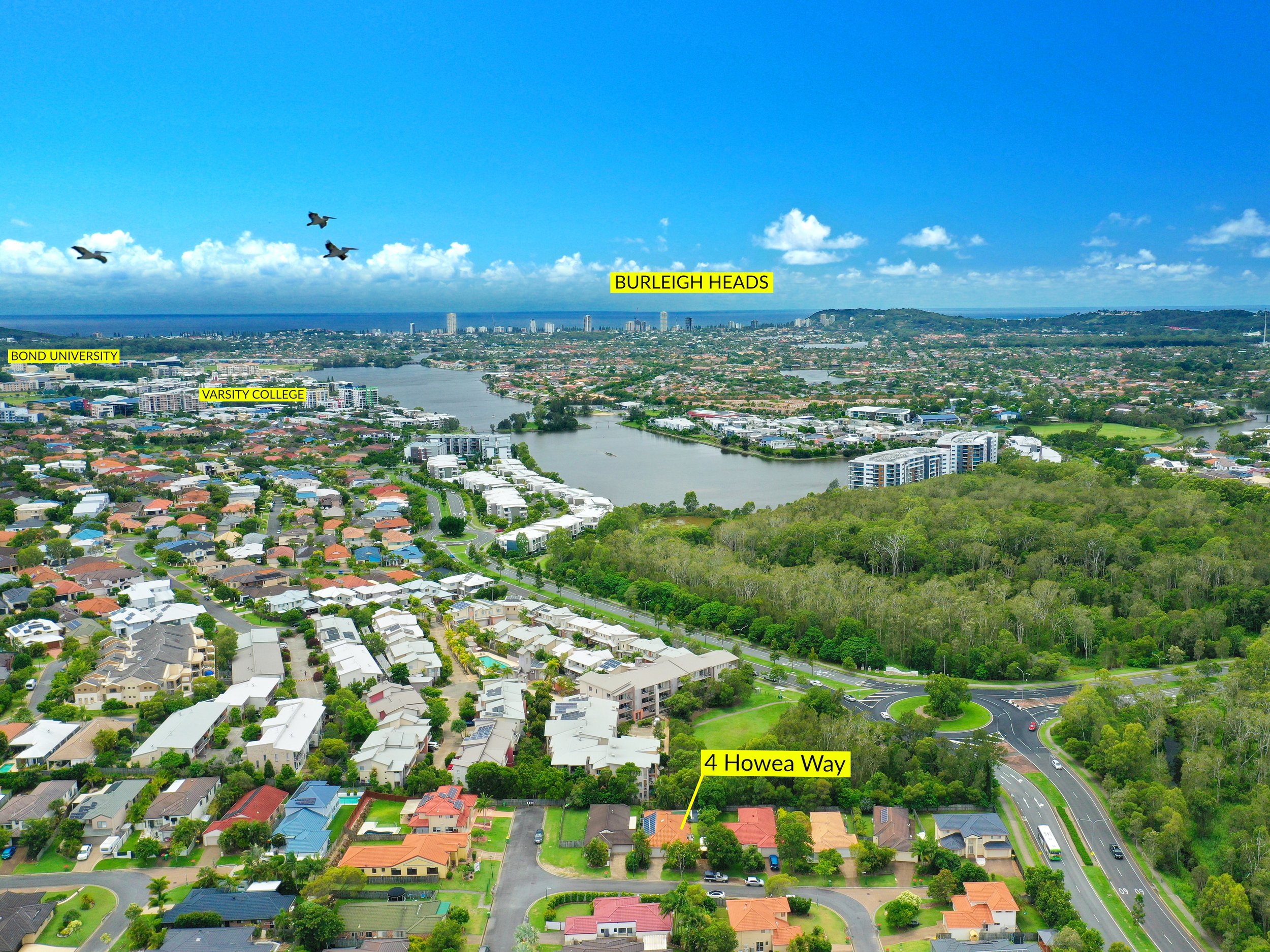 4_howea_way_robina_gold_coast_qldDrone4.JPG