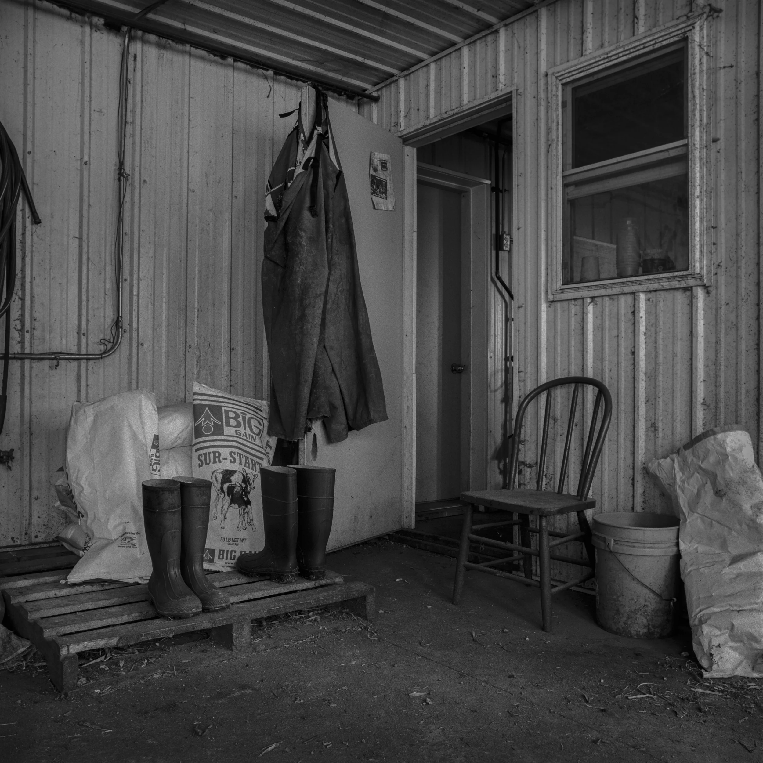 Inanimate #4