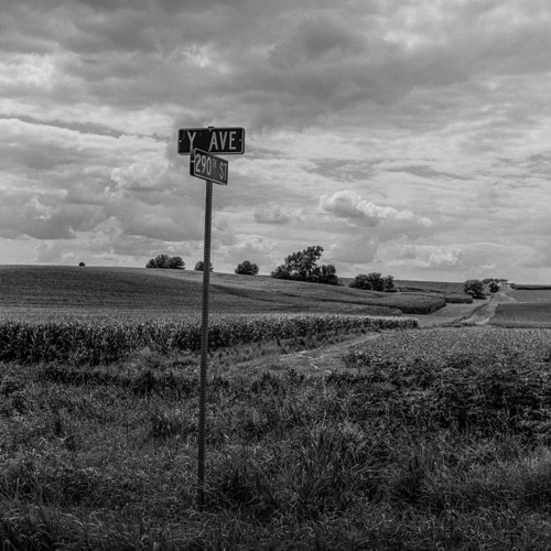 Y and 290th