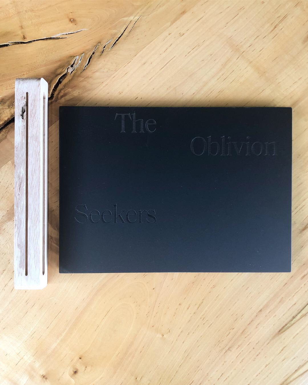 OblivionSeekers_Cover02_SDeMer.jpg
