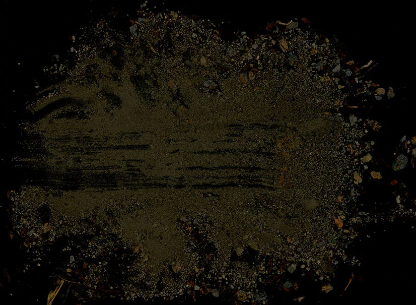 Reveal, 2018