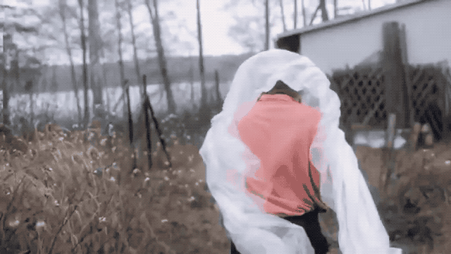 Mint jelup 01.gif