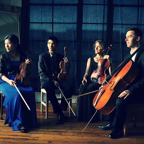 MOMENTA QUARTET & FRIENDS