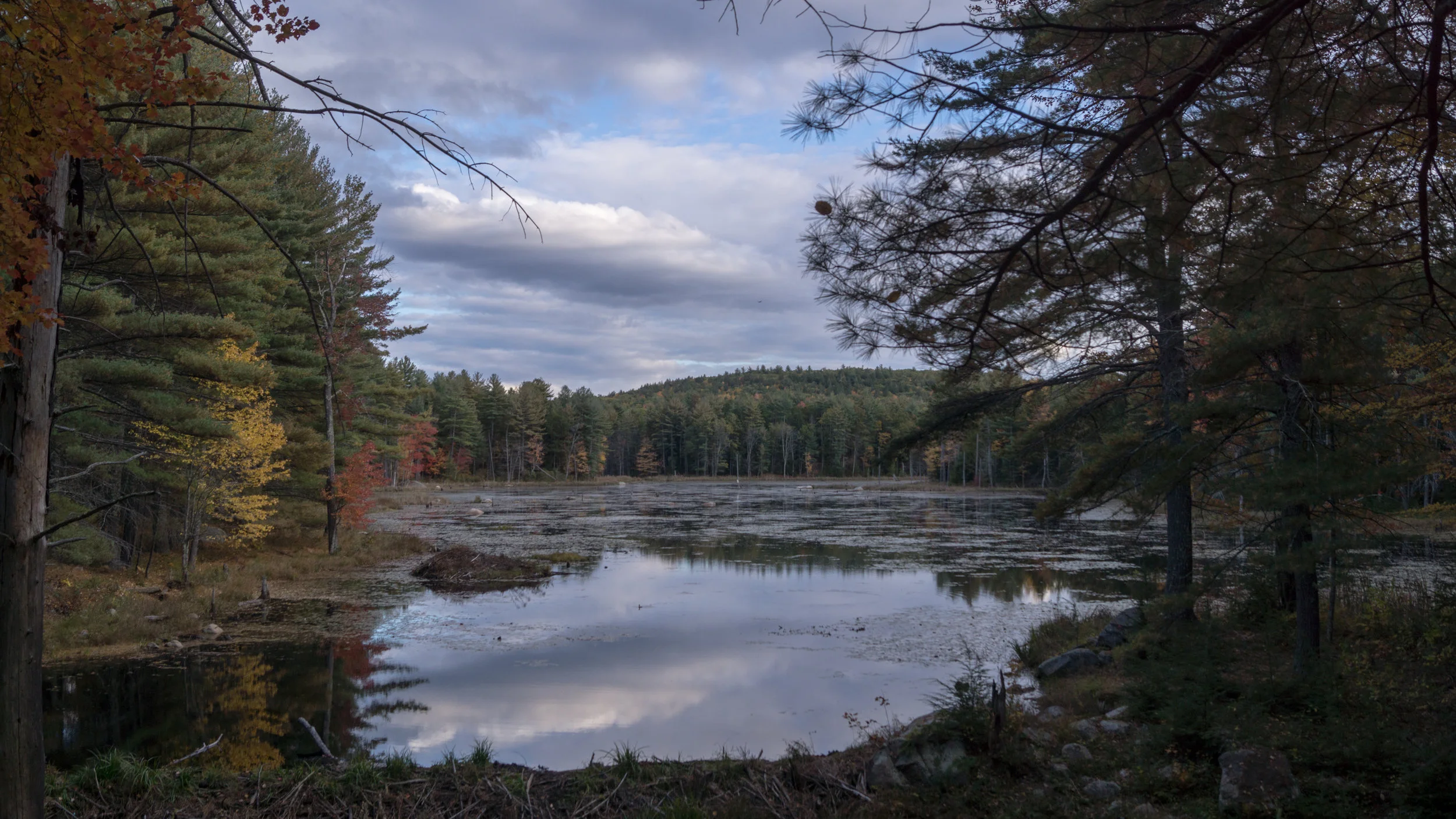 PFAS Conferences — Merrimack Citizens for Clean Water