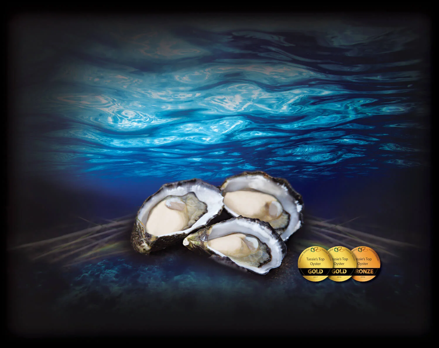 Oyster Shop top lid box_HIRES.jpg