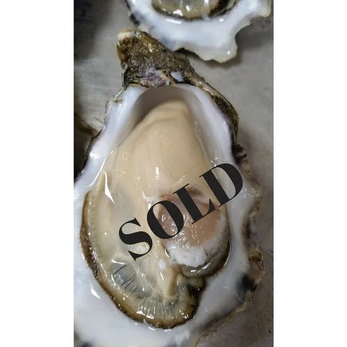 SOLD.jpg