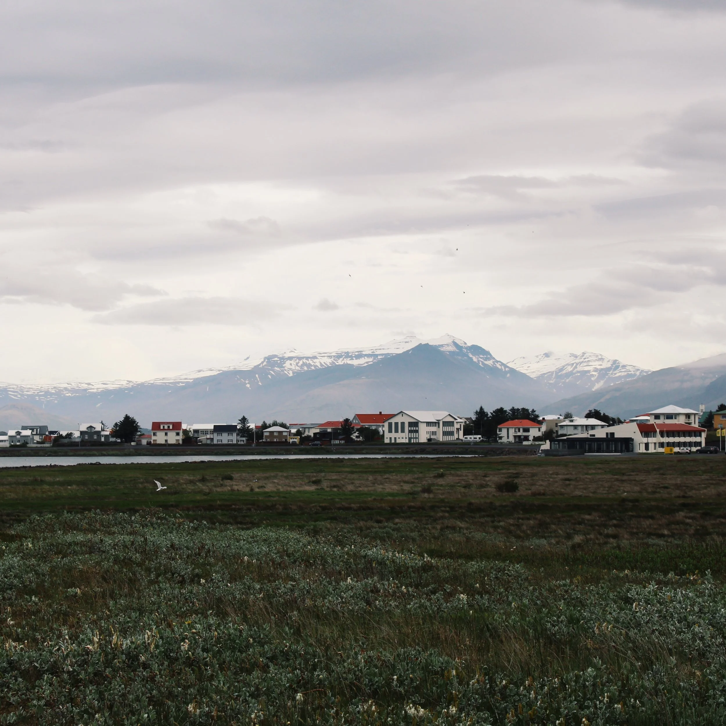 IMG_1475.JPG