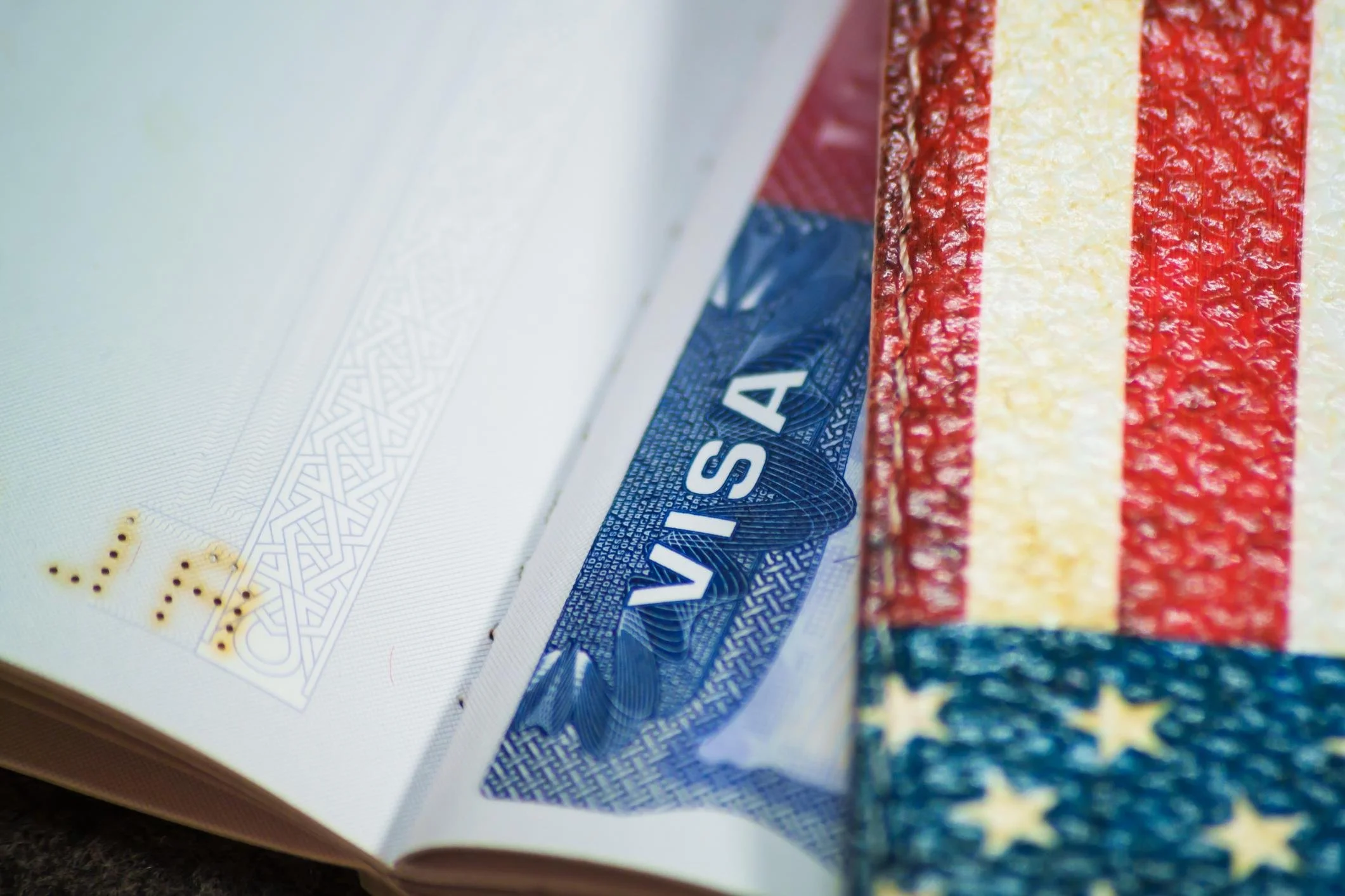 Visa application and consulate document submission services in Los Angeles