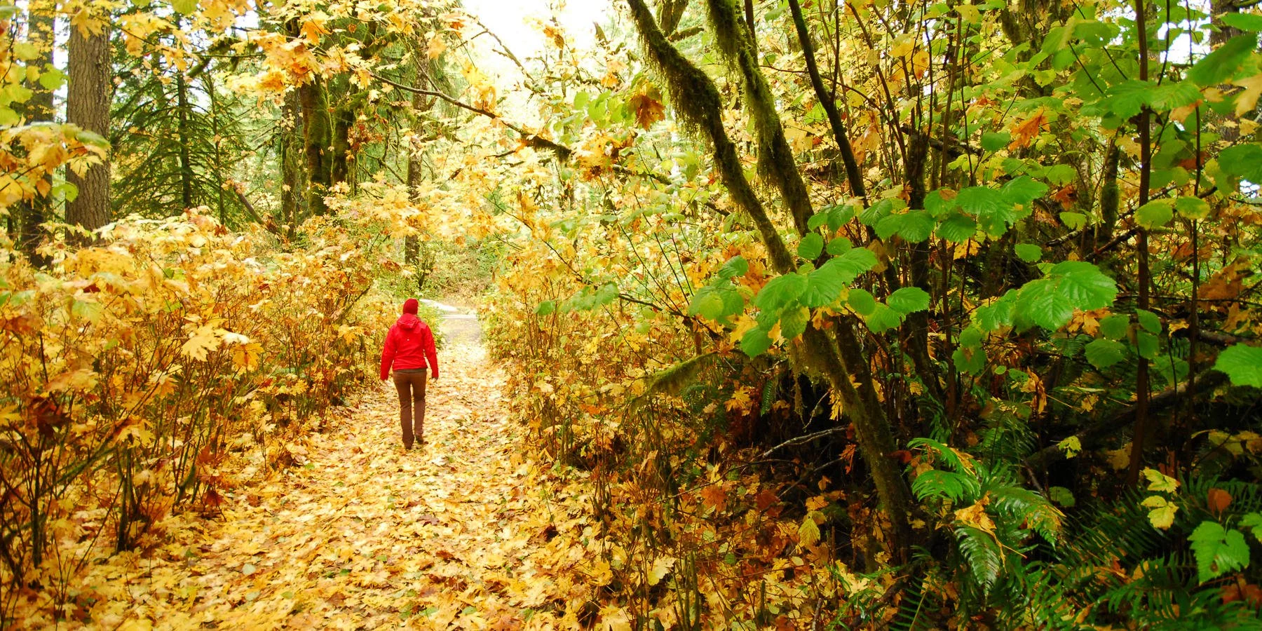 PDXUrbanFallHikes.jpg
