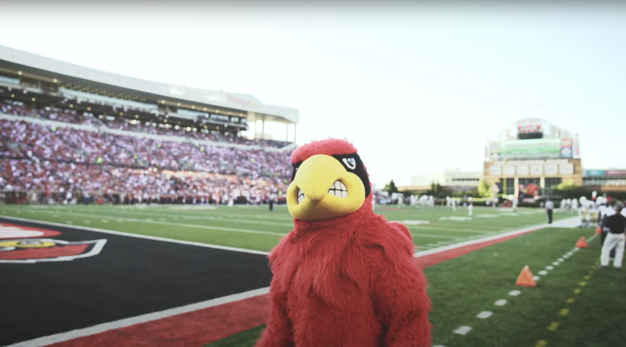 Adidas & University of Louisville "They Say"