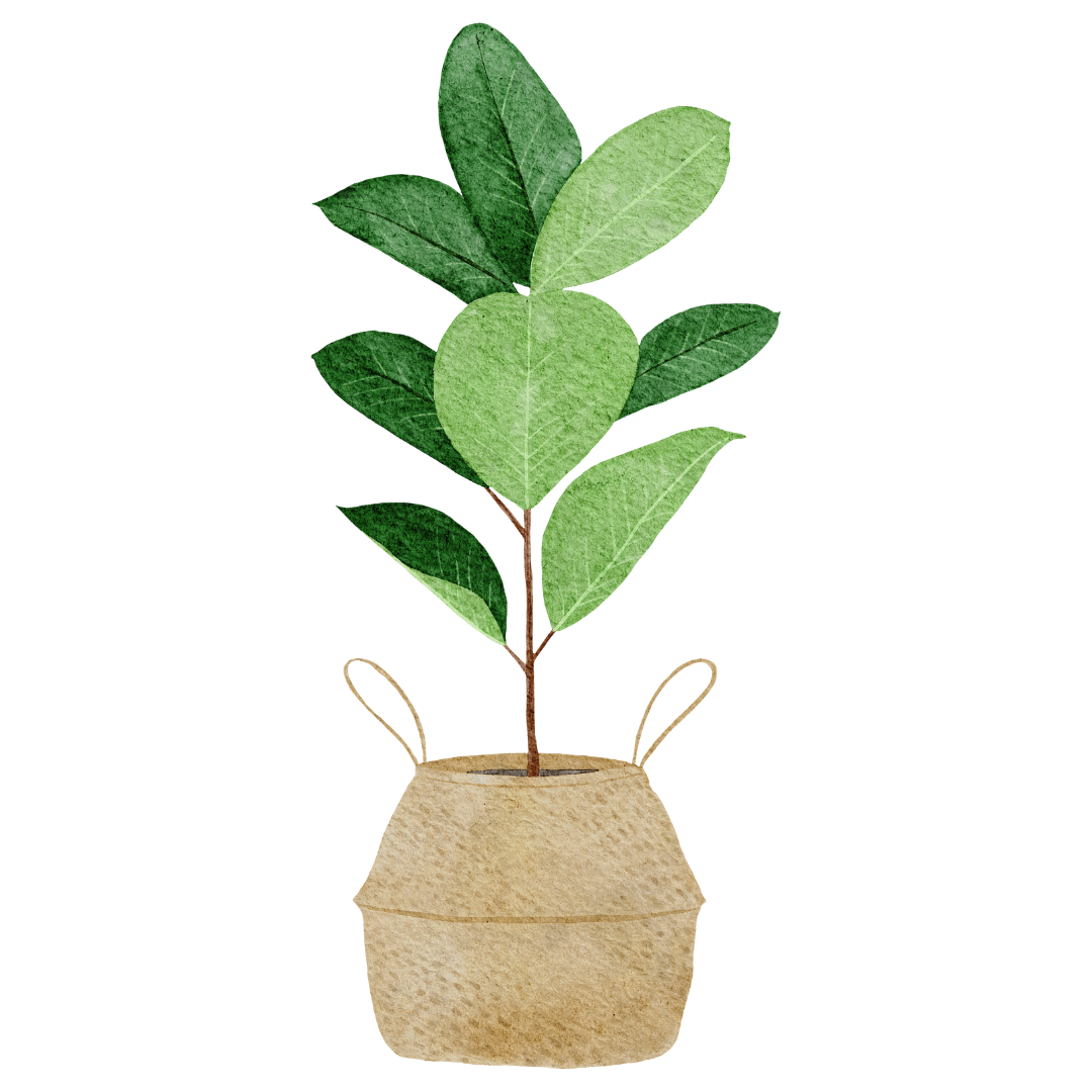 EVENT SPACES â The Field at Easts Rugby