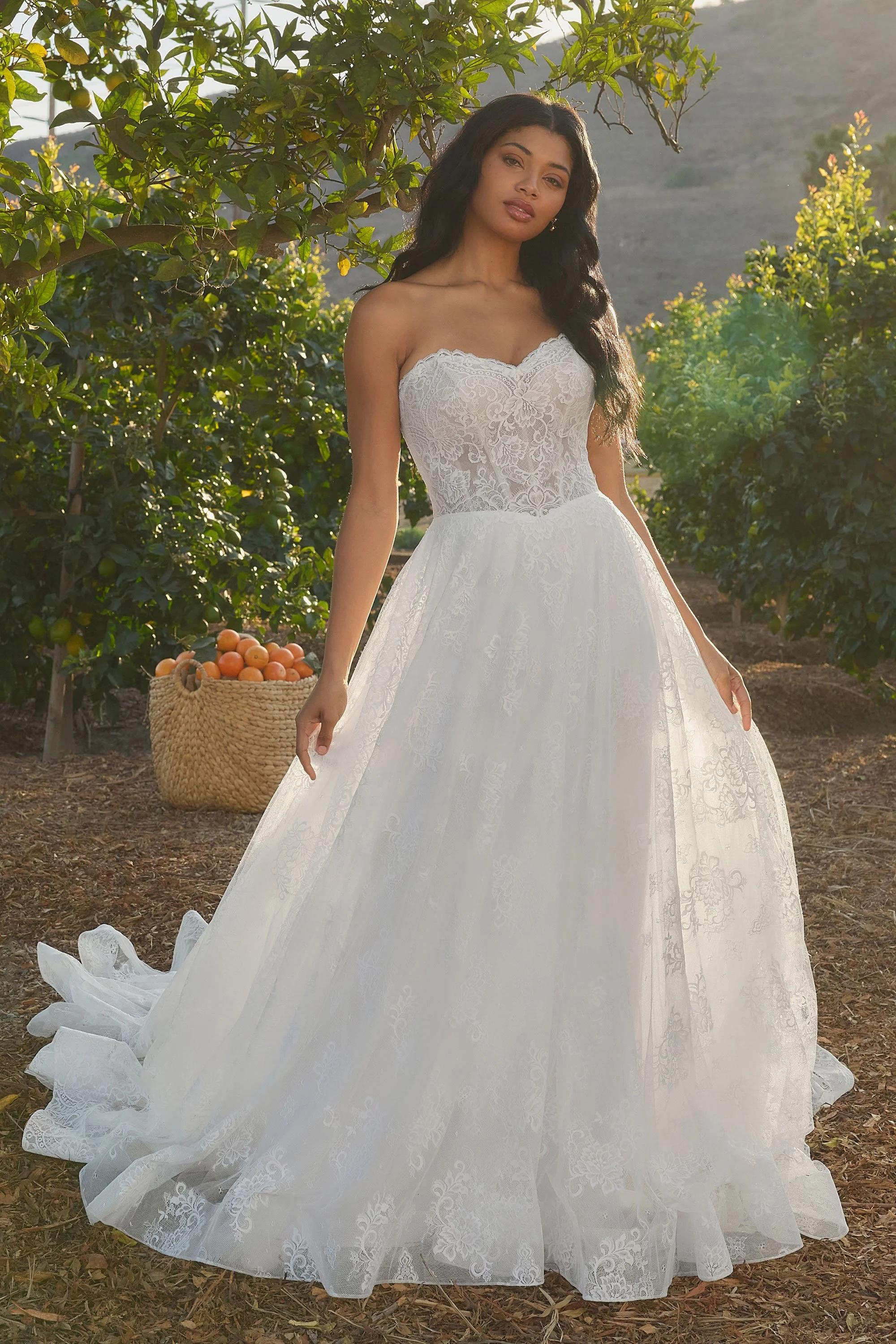 BridalCornerChicopeeMAWeddingGown46.jpg
