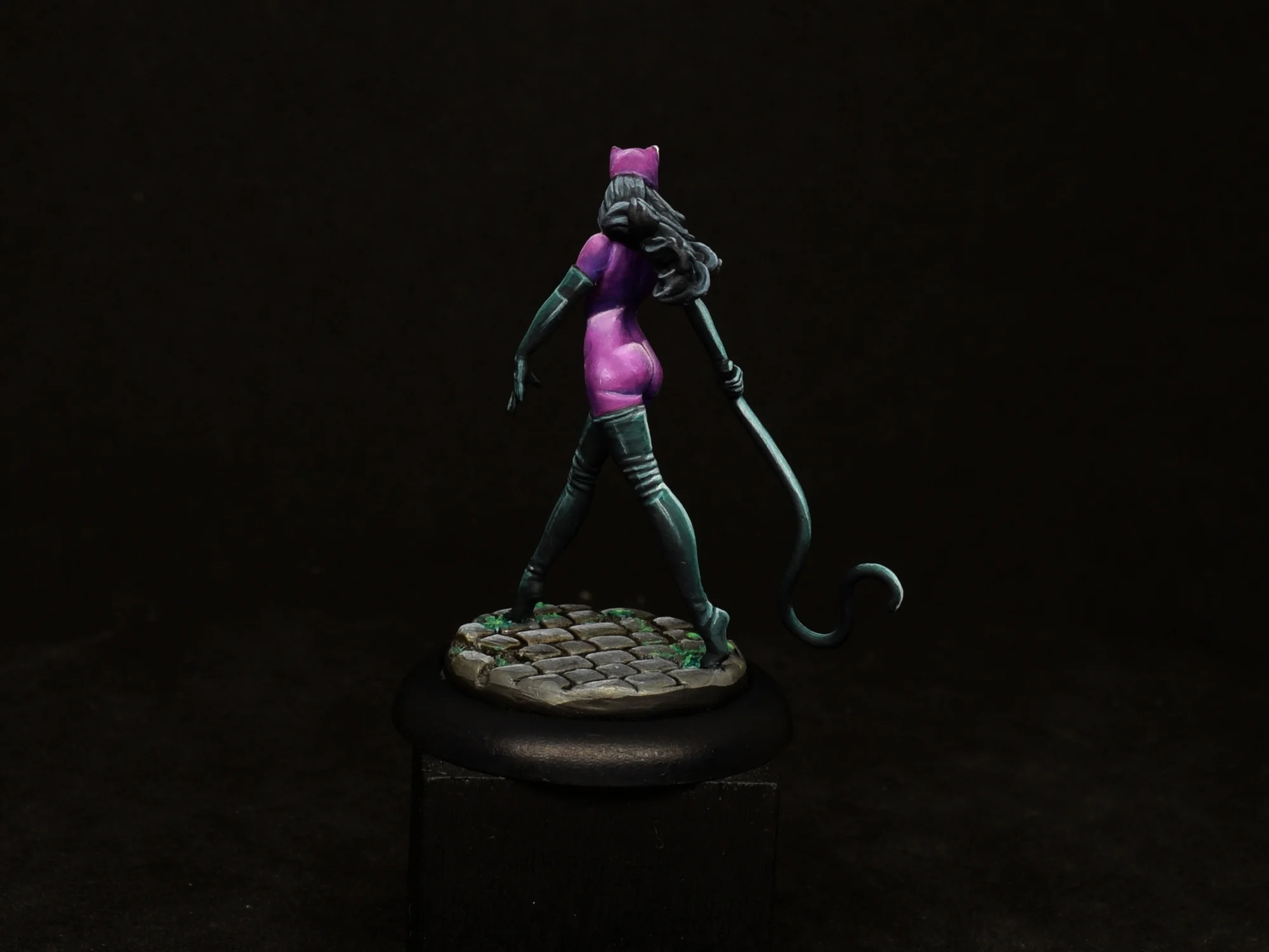 Catwoman 14.JPG